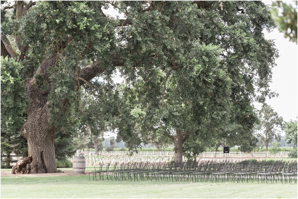 Oak_Farm_Vineyards_Lodi_Wedding_Photographer_0041
