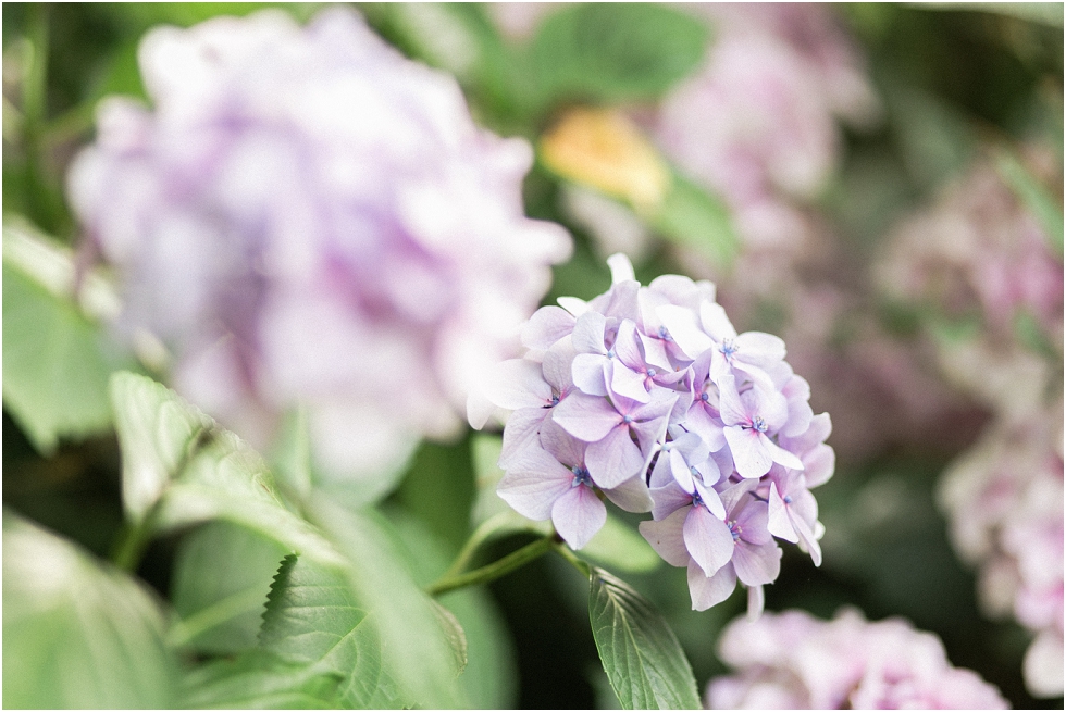Monte_Rio_Highland_Dell_Lodge_Wedding_Photographer_0050