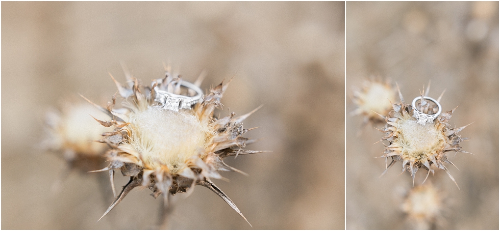 Garin Regional Park Engagement