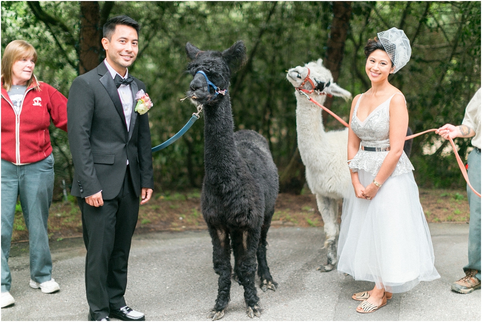 San Francisco Zoo Wedding