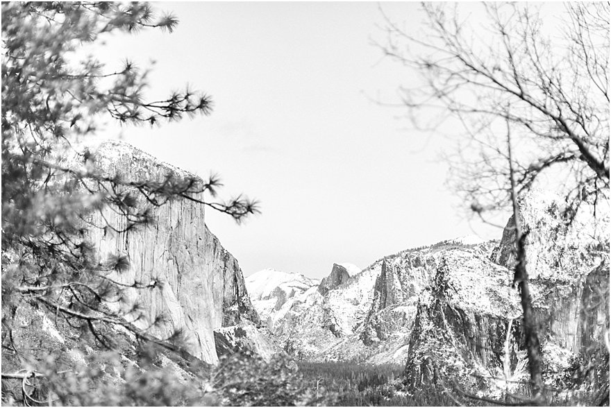 Yosemite National Park Engagement Session