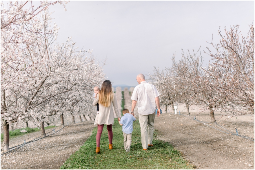 almond blossom family session