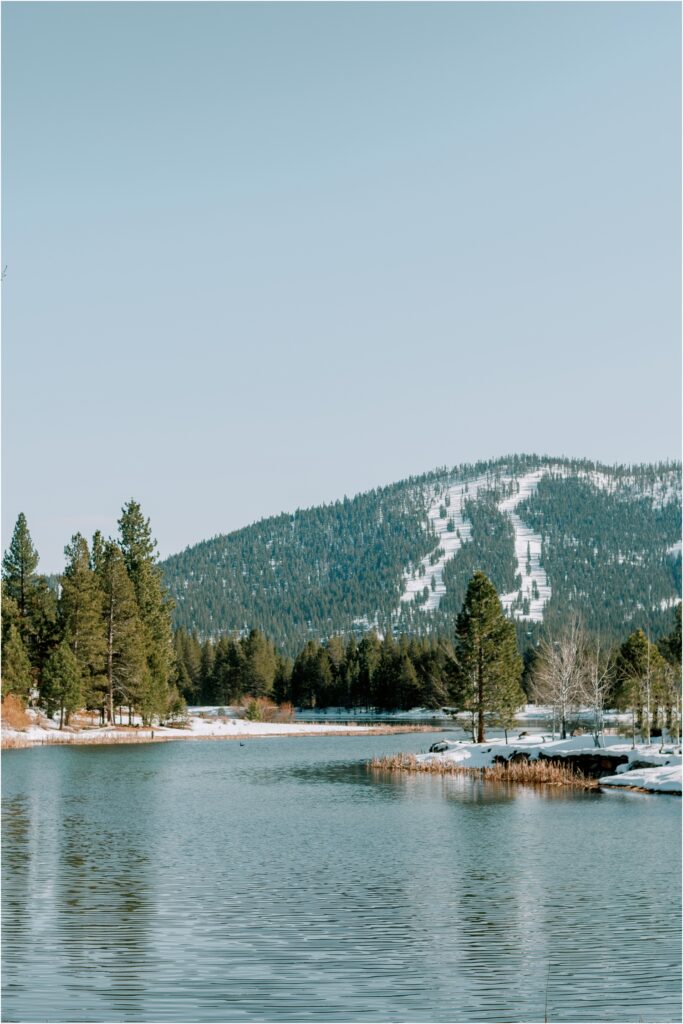 Truckee Engagement Session