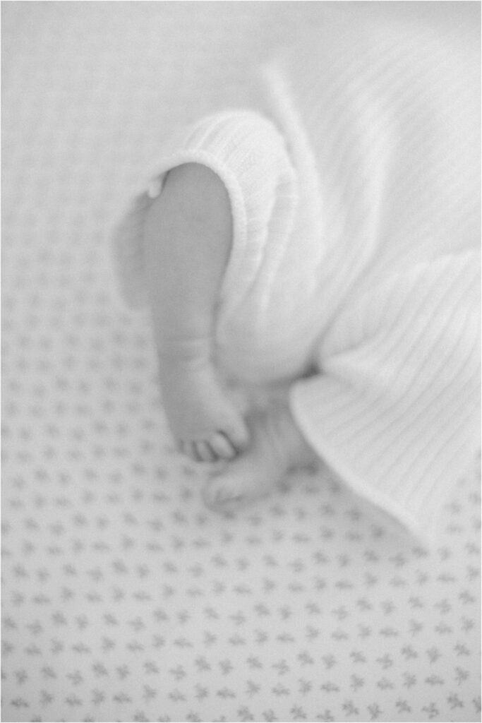 Danville Newborn Portraits Catherine Leanne Photography