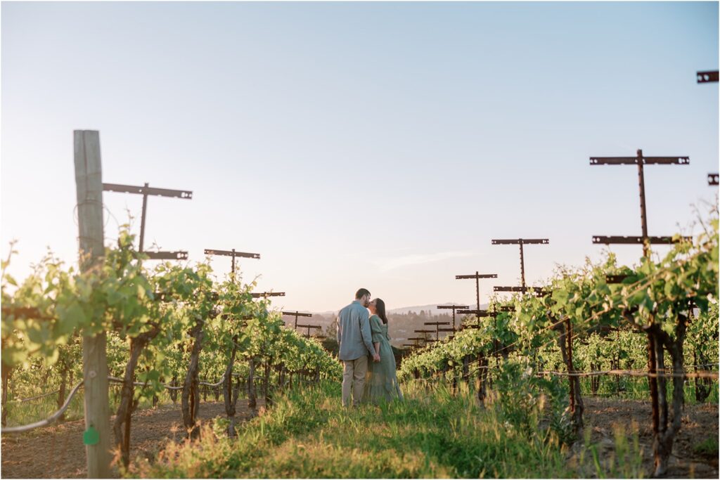 Sebastopol Maternity Portrait Session